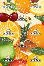 Laden Sie das Bild in den Galerie-Viewer, *Neu* ALASKA Multifunktionstuch