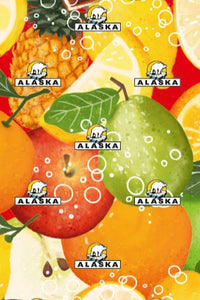 *Neu* ALASKA Multifunktionstuch